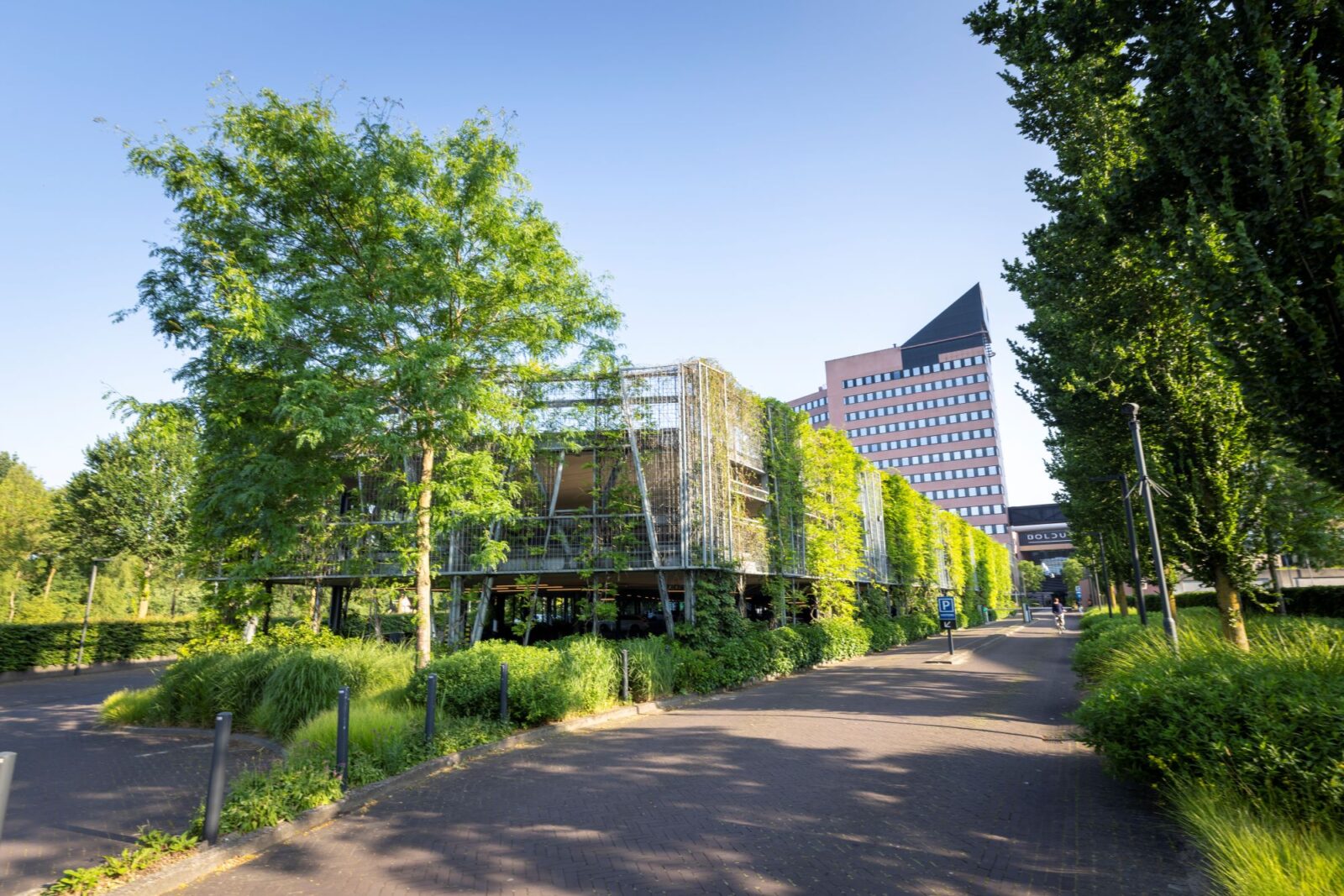 idverde Bolduc project Green office environment